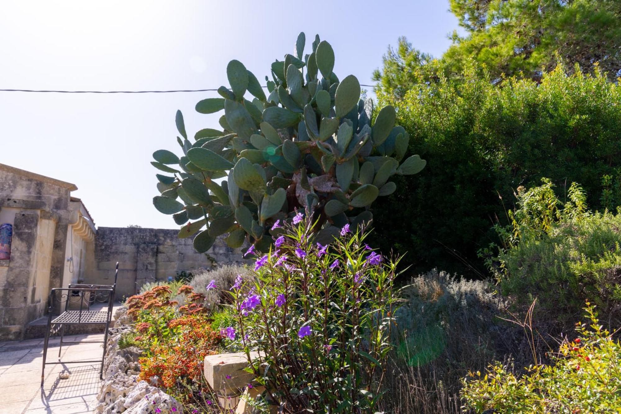 Masseria Caliani Borgagne Bagian luar foto